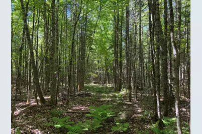 Lot 1 Holley Road, Farmington, ME 04938 - Photo 7