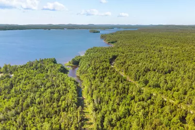 Lot 58 Bufford Drive, Waltham, ME 04605 - Photo 13