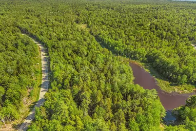 Lot 58 Bufford Drive, Waltham, ME 04605 - Photo 5