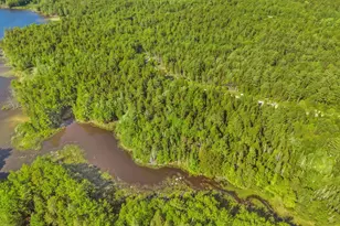 Lot 58 Bufford Dr, Waltham, ME 04605 - Photo 9