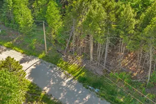 Lot 58 Bufford Dr, Waltham, ME 04605 - Photo 19