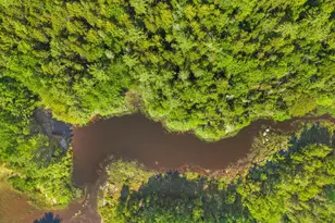 Lot 58 Bufford Dr, Waltham, ME 04605 - Photo 15