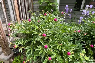 14 Academy St, Calais, ME 04619 - Photo 11