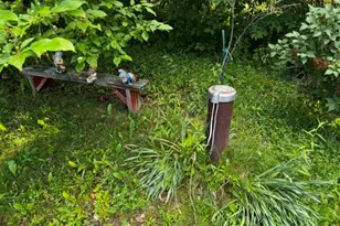 170 Burnham Rd, Troy, ME 04987 - Photo 5