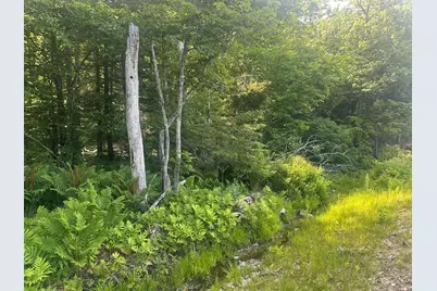 Lot #15 Greenacre Road, Lincolnville, ME 04849 - Photo 23