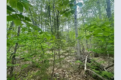 Lot #15 Greenacre Road, Lincolnville, ME 04849 - Photo 19