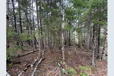 Lot 4 North Shore Road, Lubec, ME 04631 - Photo 11