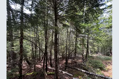 Lot 4 North Shore Road, Lubec, ME 04631 - Photo 13