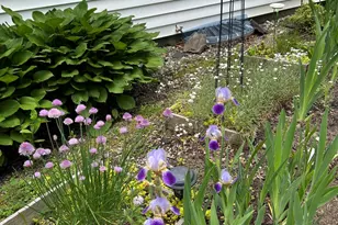 53 Congress St, Belfast, ME 04915 - Photo 63