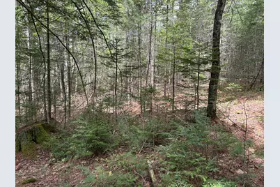 103 Ledges Circle, Waldoboro, ME 04572 - Photo 5