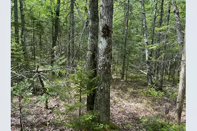 103 Ledges Circle, Waldoboro, ME 04572 - Photo 13