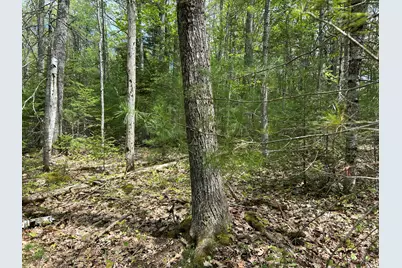 103 Ledges Circle, Waldoboro, ME 04572 - Photo 43