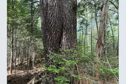 103 Ledges Circle, Waldoboro, ME 04572 - Photo 19