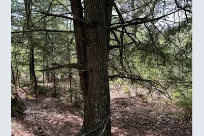 103 Ledges Circle, Waldoboro, ME 04572 - Photo 21