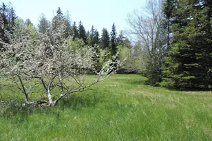 441 Pretty Marsh Rd, Mount Desert, ME 04660 - Photo 7
