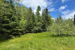 441 Pretty Marsh Rd, Mount Desert, ME 04660 - Photo 5