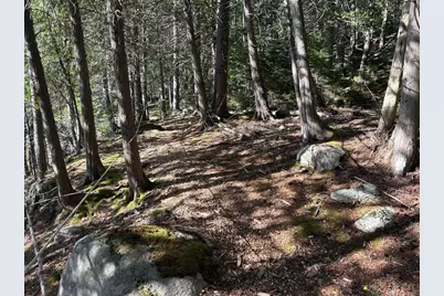 441 Pretty Marsh Road, Mount Desert, ME 04660 - Photo 31