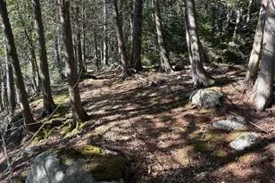 441 Pretty Marsh Rd, Mount Desert, ME 04660 - Photo 31
