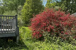 31 Shag Hollow Rd, Matinicus Isle, ME 04851 - Photo 7