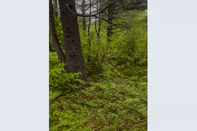 4422 Bennoch Road, Alton, ME 04468 - Photo 7