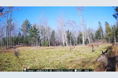 22 Monument Road, Abbot, ME 04406 - Photo 29