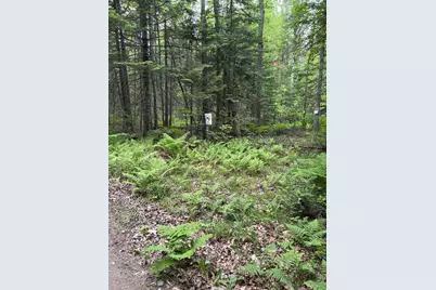 22 Monument Road, Abbot, ME 04406 - Photo 37