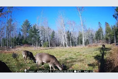 22 Monument Road, Abbot, ME 04406 - Photo 27