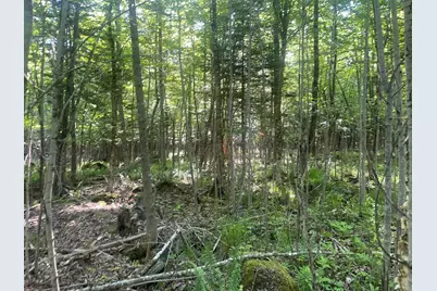 0 Macomber Road, Readfield, ME 04355 - Photo 45