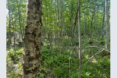 0 Macomber Road, Readfield, ME 04355 - Photo 27
