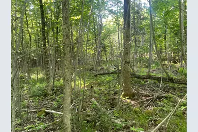 0 Macomber Road, Readfield, ME 04355 - Photo 39
