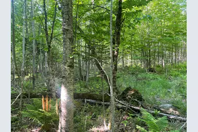 0 Macomber Road, Readfield, ME 04355 - Photo 37