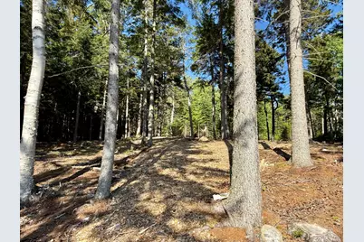 93 Goods Point Road Lot #2, Steuben, ME 04680 - Photo 17