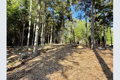 93 Goods Point Road Lot #2, Steuben, ME 04680 - Photo 7