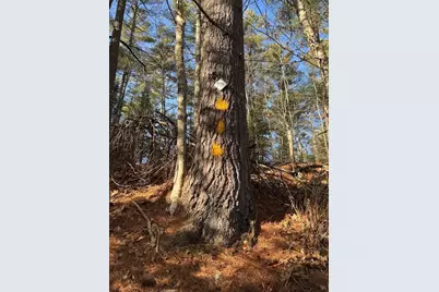 286 Upper Hostile Valley Road, Liberty, ME 04949 - Photo 9