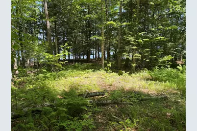Map 21 Lot 11 Bear Lane, Dexter, ME 04930 - Photo 9