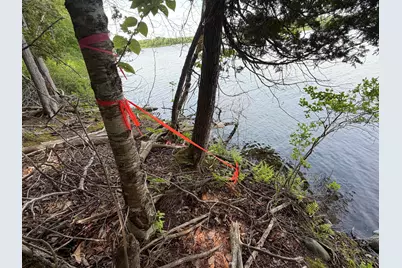 Map 21 Lot 11 Bear Lane, Dexter, ME 04930 - Photo 11