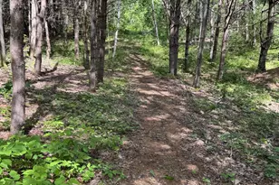 26 Martin Rd, Alna, ME 04535 - Photo 91