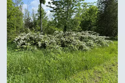 199 Dunn Road, Dexter, ME 04930 - Photo 59