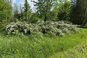 199 Dunn Rd, Dexter, ME 04930 - Photo 59