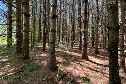 Lot 14 Mountain View Lane, Hope, ME 04847 - Photo 5