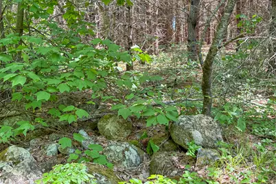 Lot 23 Mountain View Lane, Hope, ME 04847 - Photo 3
