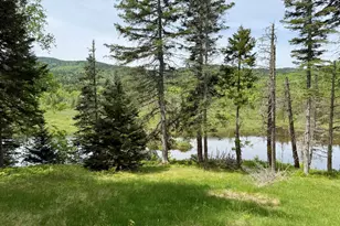 34 Bypass Rd, Sandy River Plt, ME 04970 - Photo 5