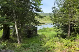 34 Bypass Rd, Sandy River Plt, ME 04970 - Photo 9