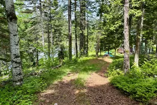 34 Bypass Rd, Sandy River Plt, ME 04970 - Photo 23