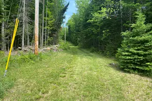 783 Half Township Rd, Lincoln, ME 04457 - Photo 5