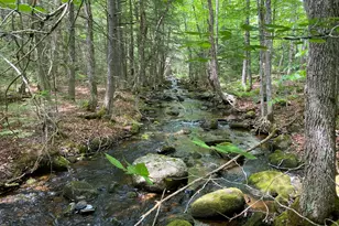 783 Half Township Rd, Lincoln, ME 04457 - Photo 23