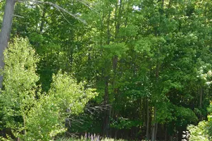 M18 L88 Crosby St, Hartland, ME 04943 - Photo 1