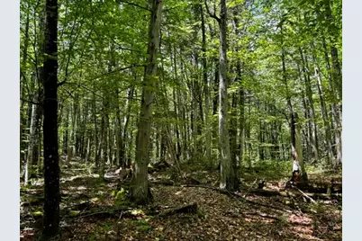 M10 L20 Judkins Road, Harmony, ME 04942 - Photo 37
