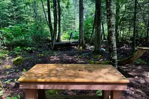 M10 L20 Judkins Rd, Harmony, ME 04942 - Photo 35