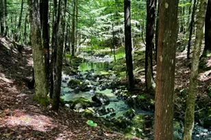 M10 L20 Judkins Rd, Harmony, ME 04942 - Photo 37